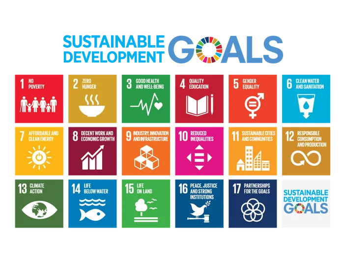 17 Sustainable development goals